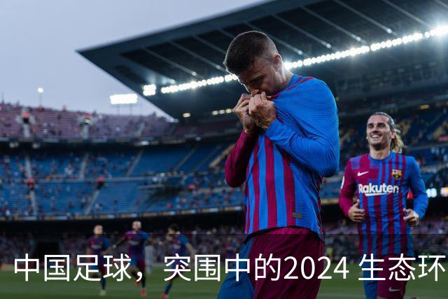 中国足球，突围中的2024 生态环境将实现好转