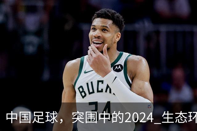 中国足球，突围中的2024 生态环境将实现好转