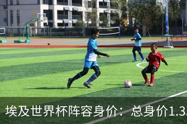 埃及世界杯阵容身价：总身价1.35亿欧，马尔穆什6000万欧最高