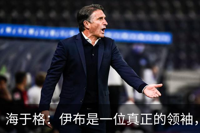 海于格：伊布是一位真正的领袖，我当时尽可能向他这样的巨星学习