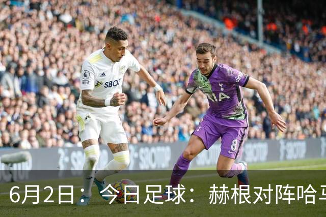 6月2日：今日足球：赫根对阵哈马比代格福什对阵布鲁马波卡纳